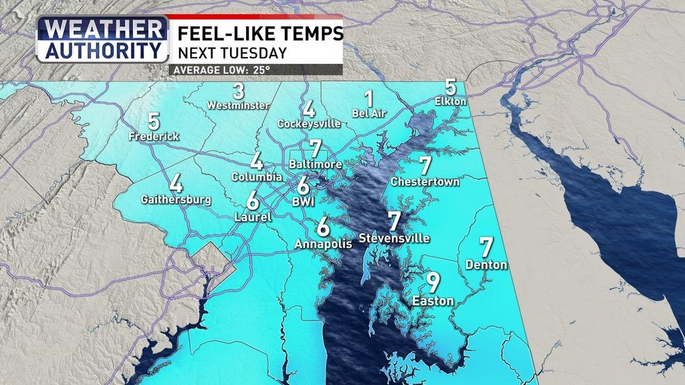 Next Tuesday morning