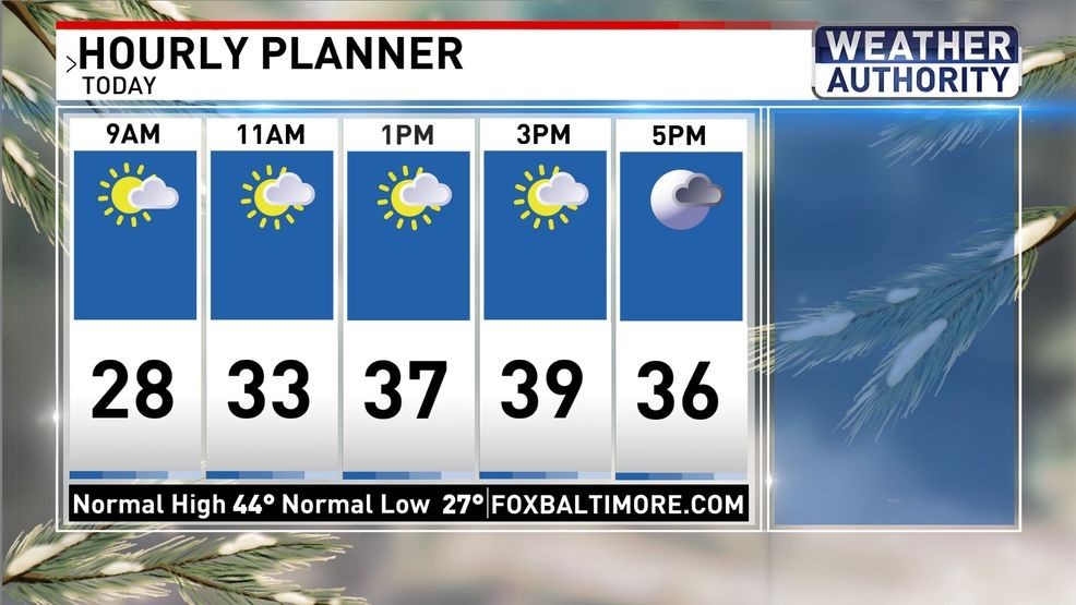 Friday planner{p}{/p}