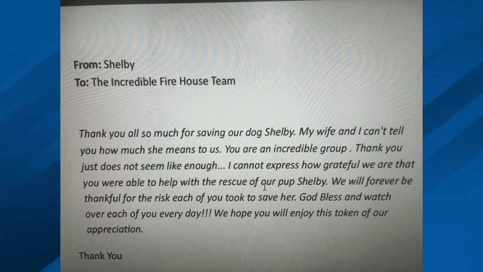 Prince William County Fire and Rescue Department firefighters rescued a family's pet Labrador after it slid several hundred feet into an ice-covered embankment in Dumfries, Virginia, on Wednesday, Jan. 28. (Prince William County Fire EMS)