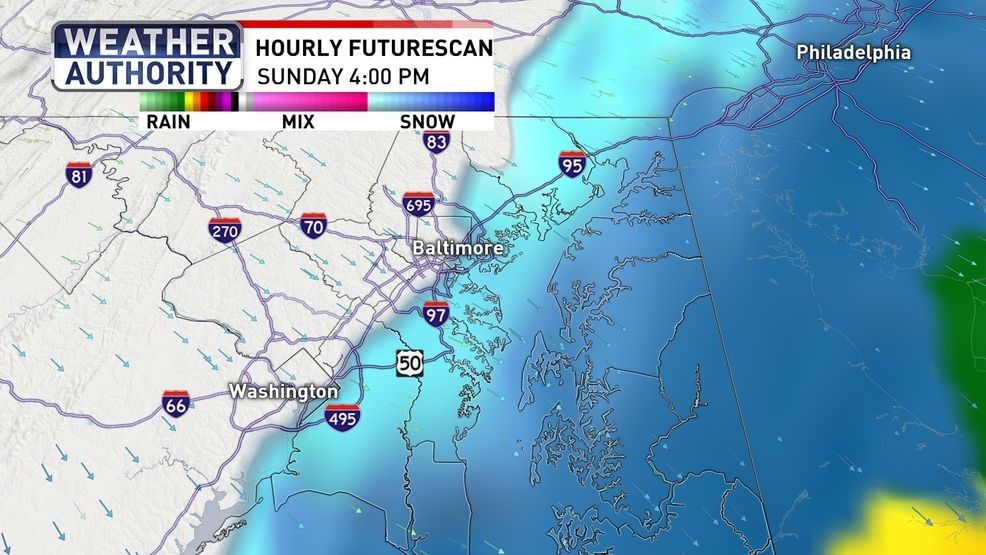 Futurescan Sunday PM