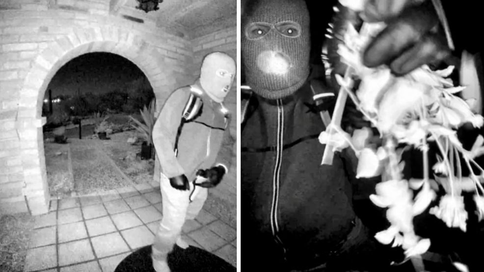 This combo from images provided by the FBI shows surveillance footage at the home of Nancy Guthrie the night she went missing in Tucson, Ariz. (FBI via AP)