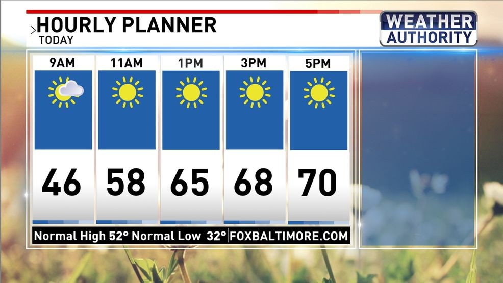 Monday planner{p}{/p}