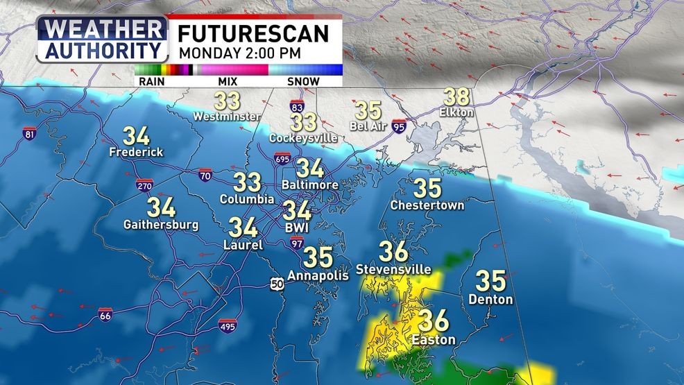 Futurescan Monday PM