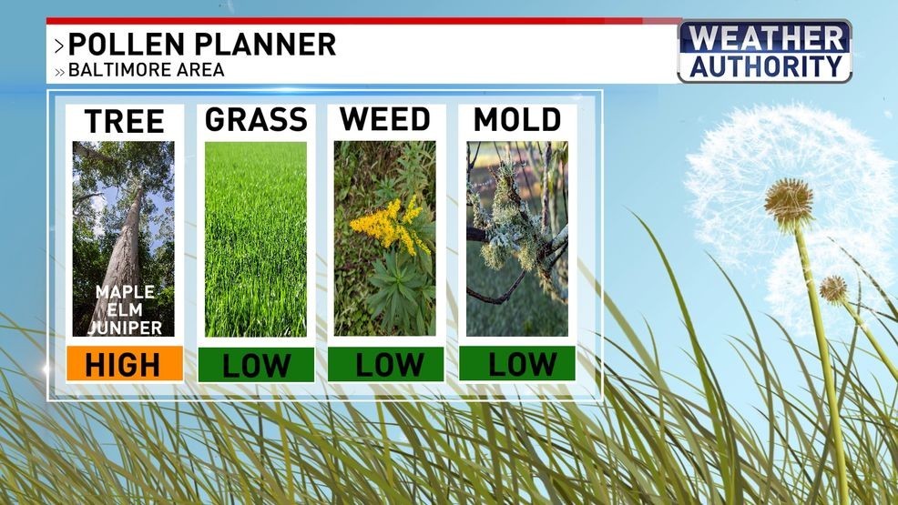 Pollen planner