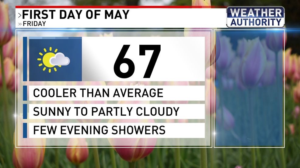 Friday forecast
