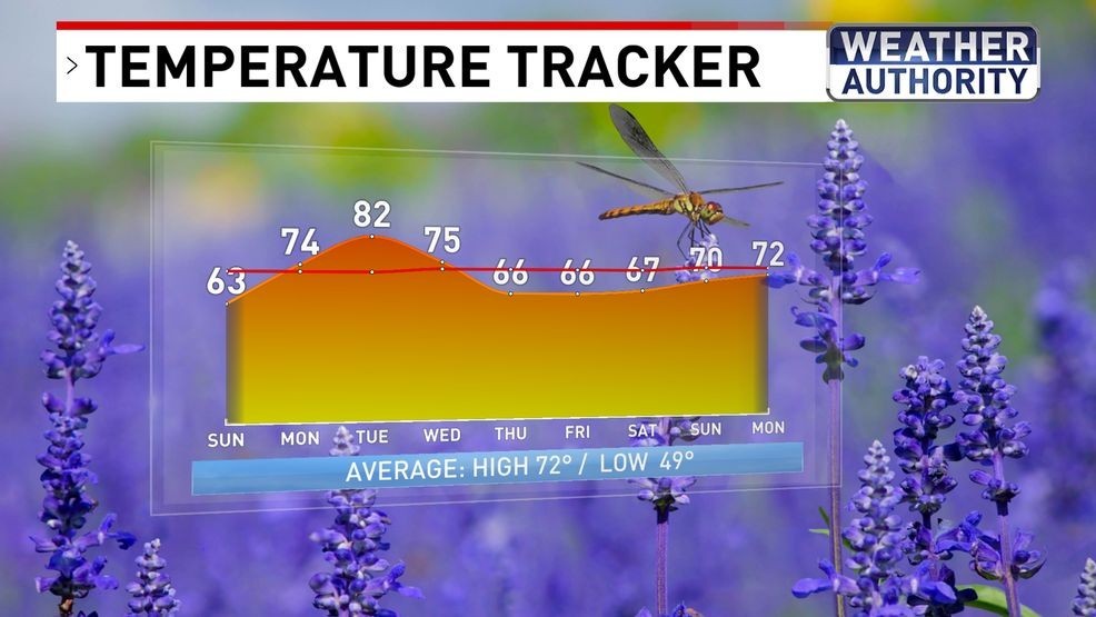 Temperature Tracker