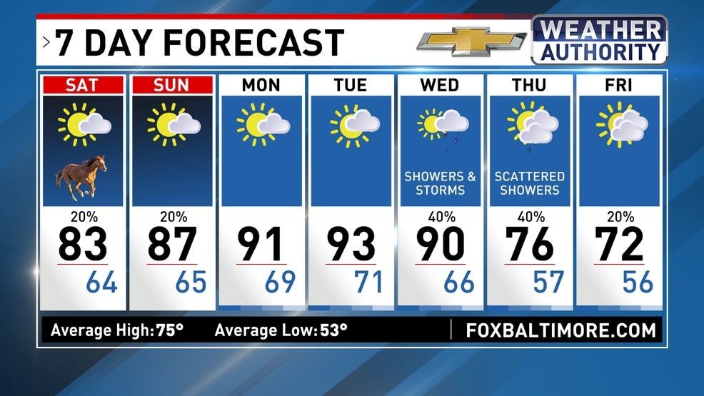 7 Day Forecast