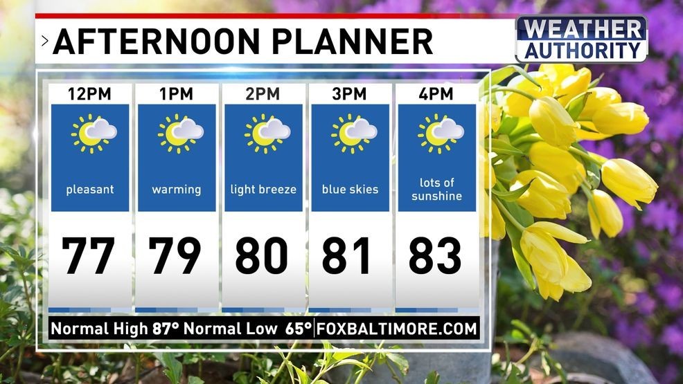 Afternoon Planner