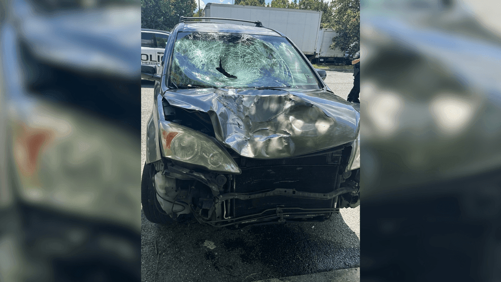 {p}A man accused of running over another man in Gaithersburg, Maryland, earlier this week was arrested at a New Jersey airport while trying to board an international flight to Honduras. (Montgomery County Department of Police) {/p}