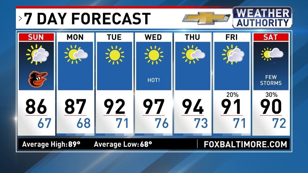7 Day Forecast