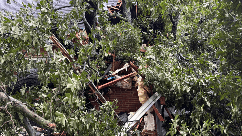A tree that fell on a house in Montgomery County, Md. on July 28, 2026. (7News)