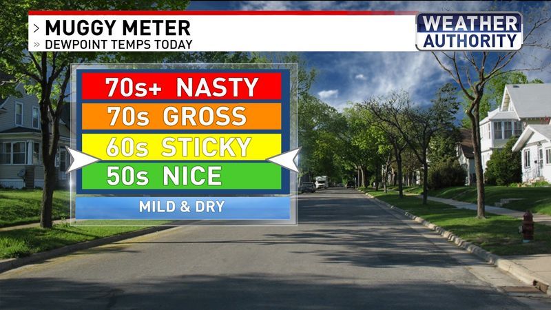 Muggy Meter