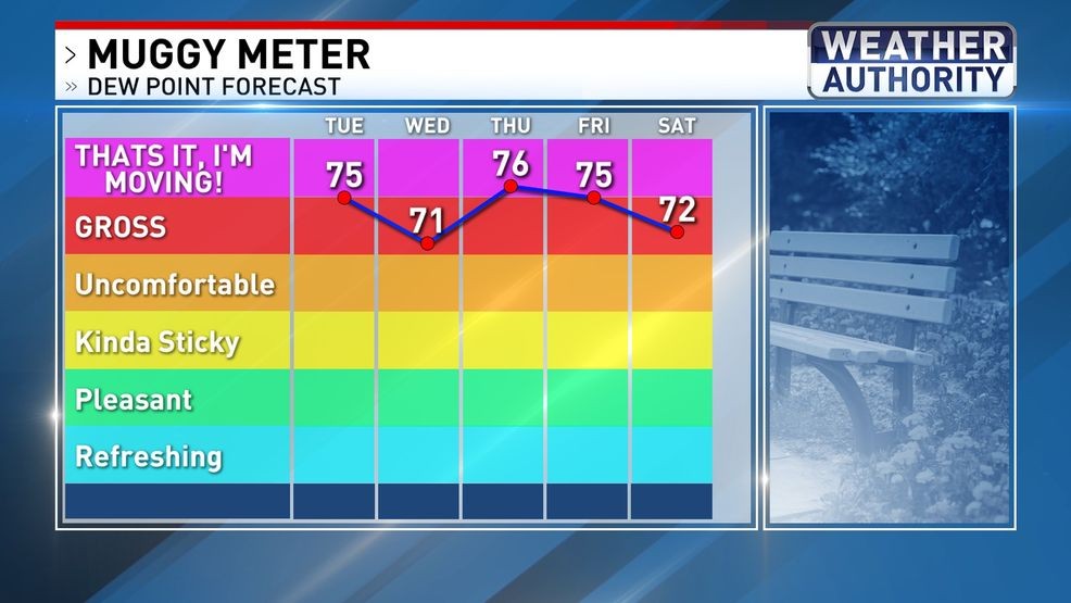 Muggy meter