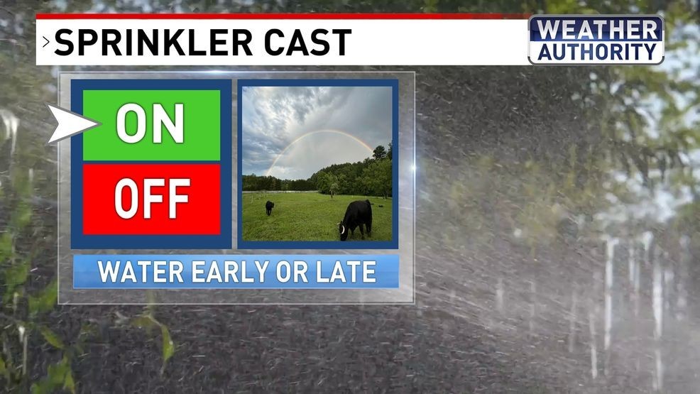 Sprinkler Cast