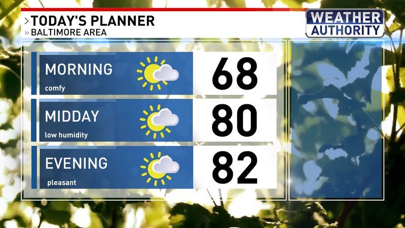 Today's planner