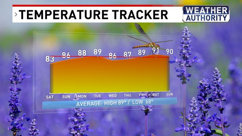 Temperature Tracker
