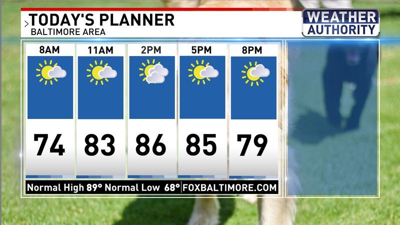 Today's planner