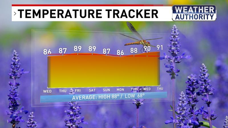 Temperature Tracker