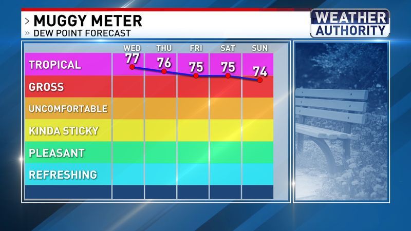 Muggy meter