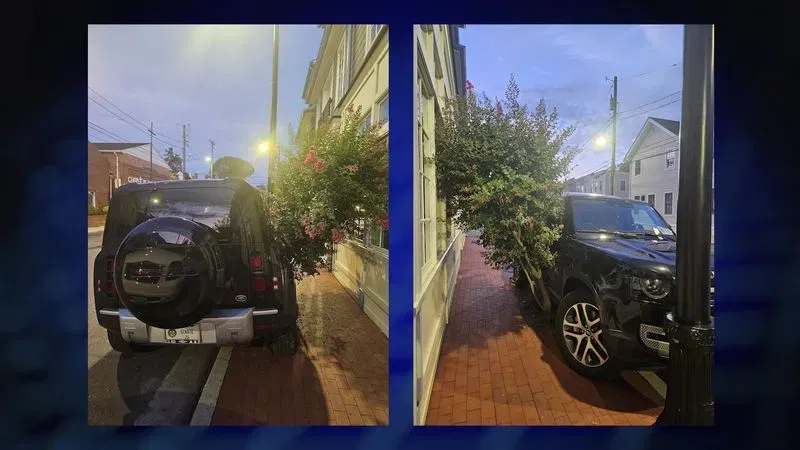 Two viral images the luxury SUV belonging to Maryland Sen. C. Anthony Muse, D-Prince George's County. The lawmaker parked a car atop a tree on Monday, August 3, 2026 in Annapolis's Eastport neighborhood. (Spotlight on Maryland/WBFF)