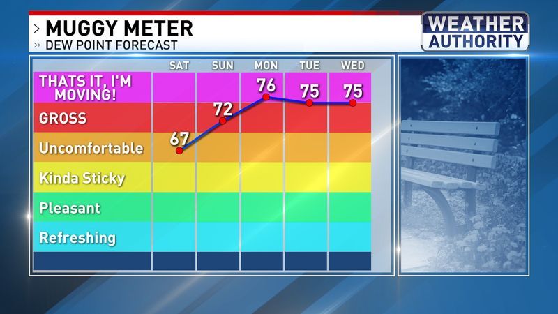 Muggy meter