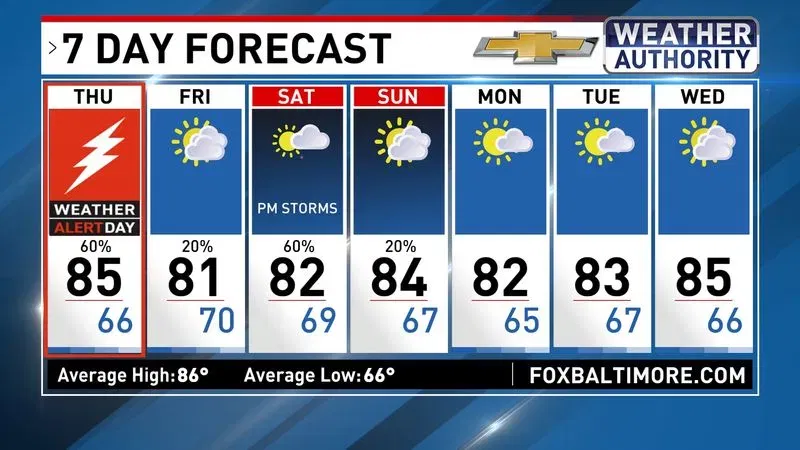 7 Day Forecast