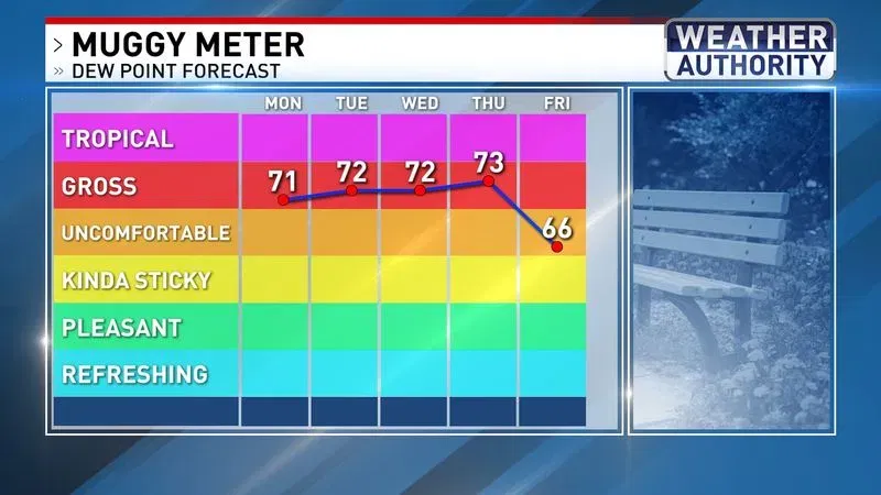 Muggy meter