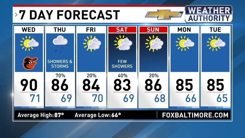 7 Day Forecast
