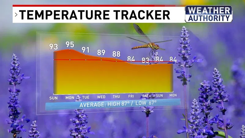 Temperature Tracker