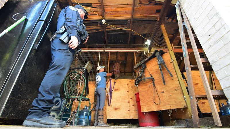 A representative for Days End Farm Horse Rescue prepares to remove one of two horses from a garage-type structures in west Baltimore. (WBFF / Maggie Ybarra)