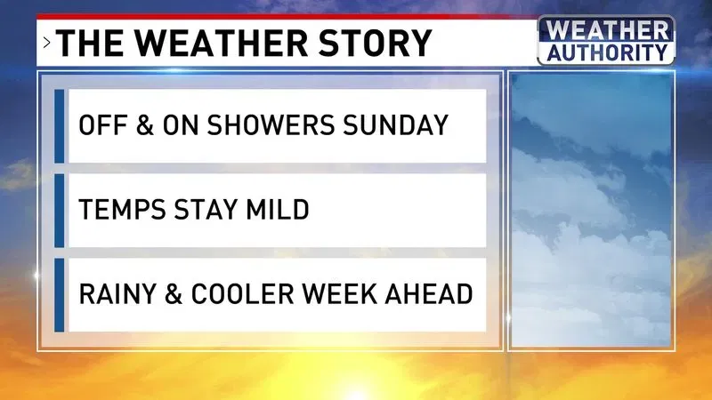The Weather Story