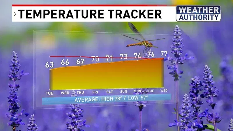 Temperature Tracker