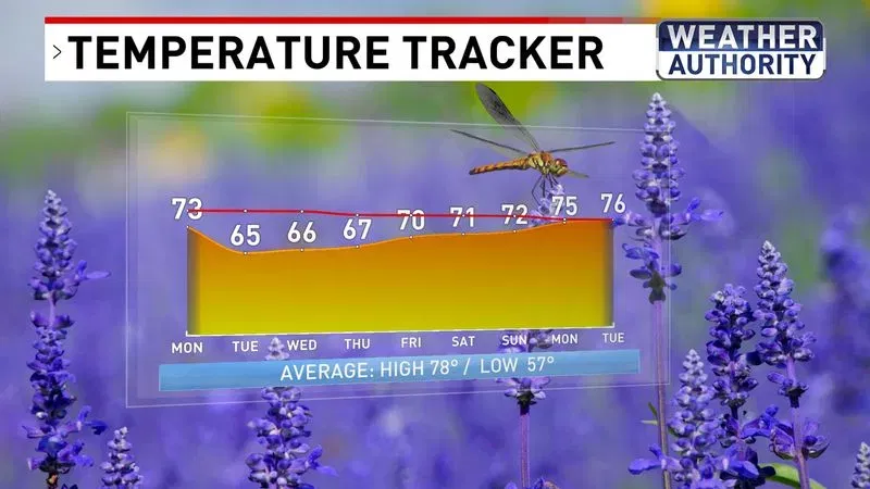 Temperature Tracker