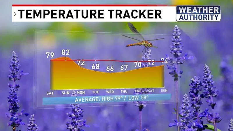 Temperature Tracker