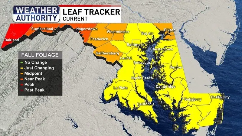 Leaf Tracker