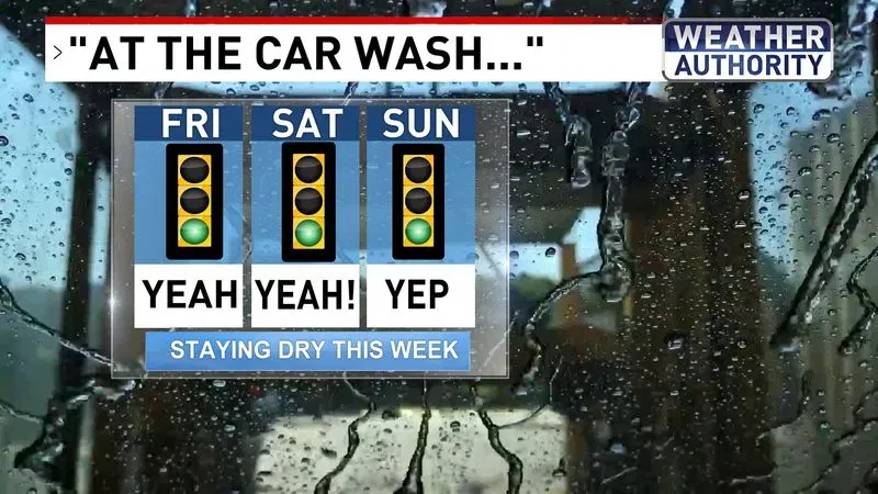 Car Wash Cast