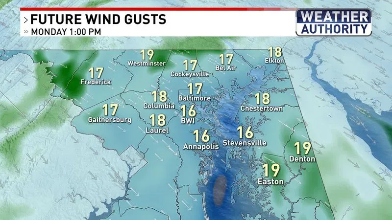 Future Wind Gusts
