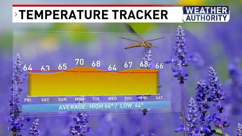 Temperature Tracker