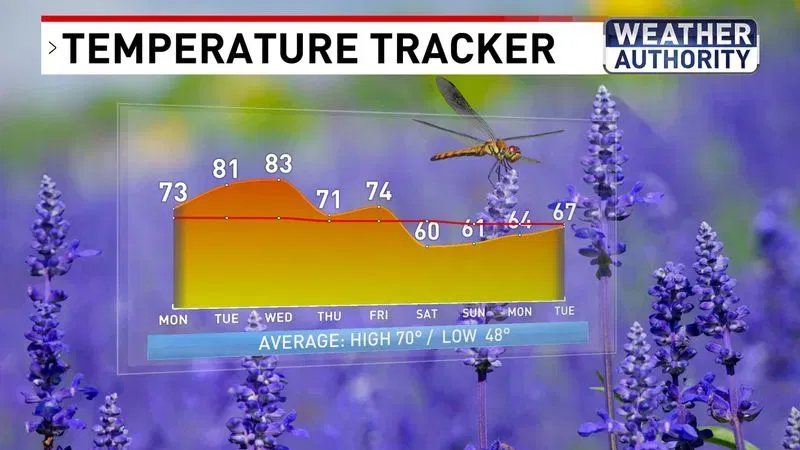Temperature Tracker