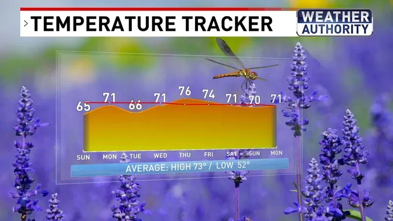 Temperature Tracker